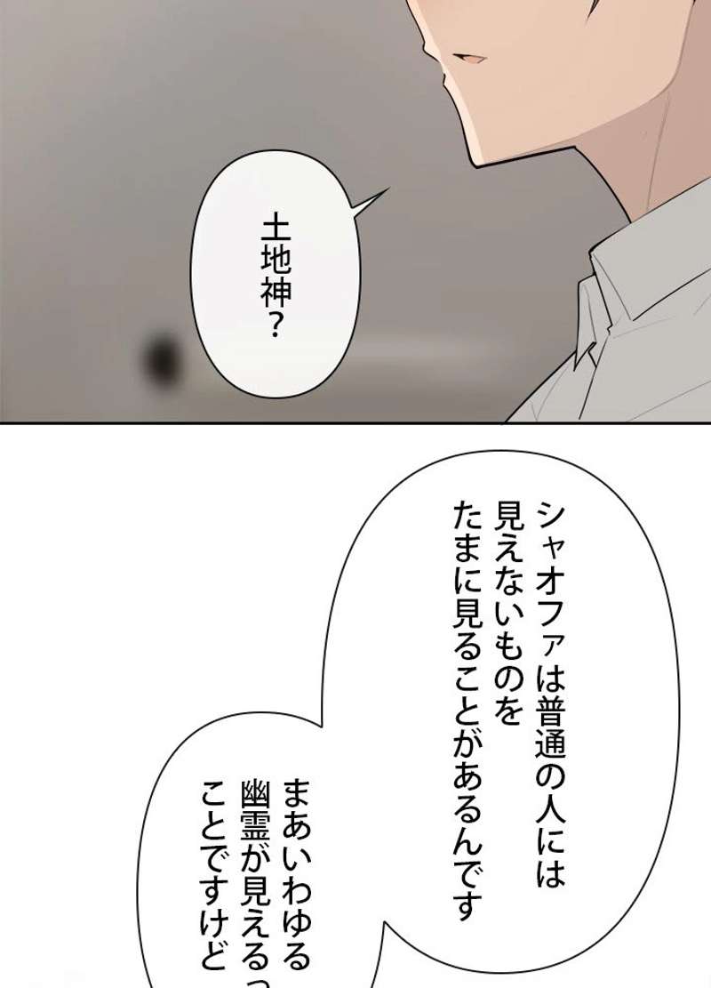 P63