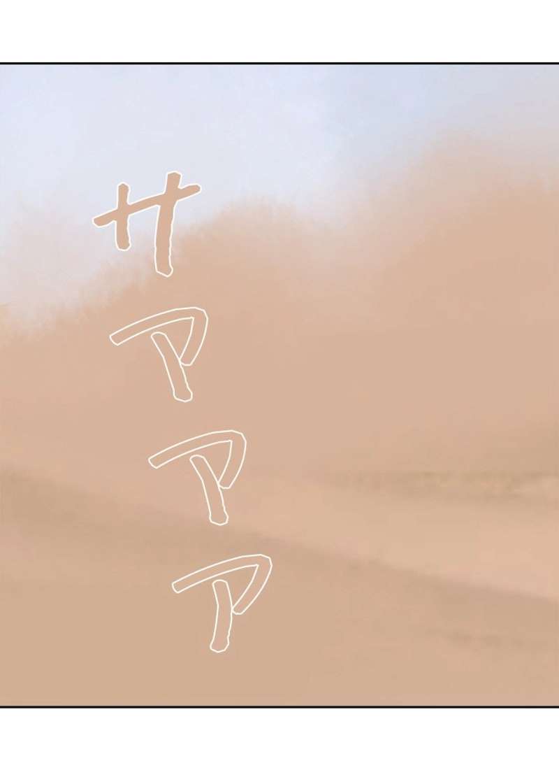 P24