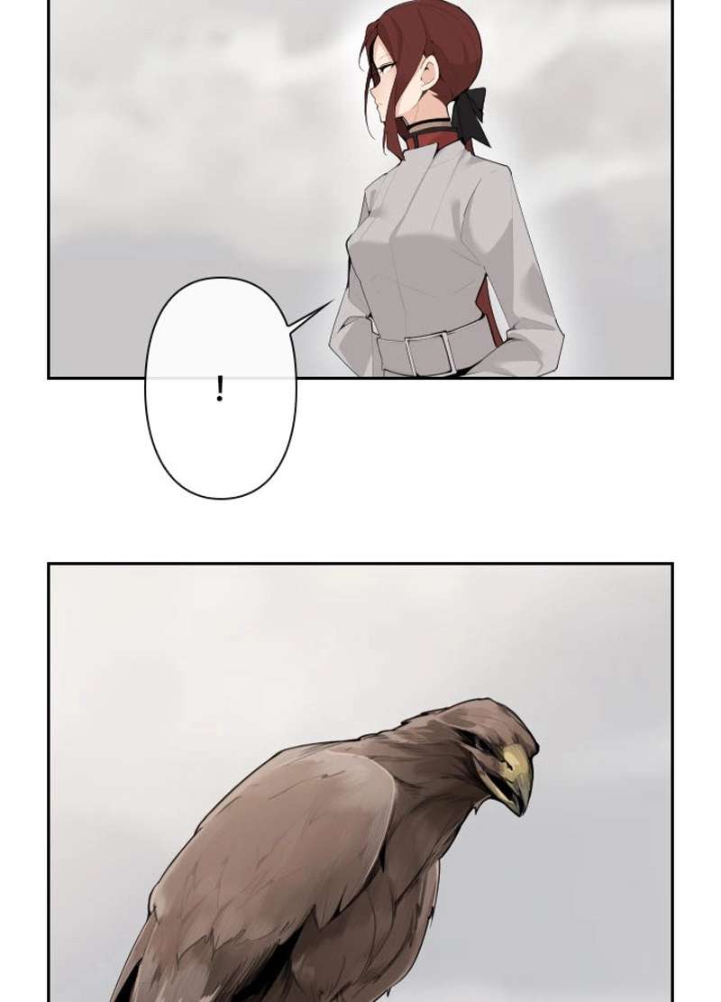 P37