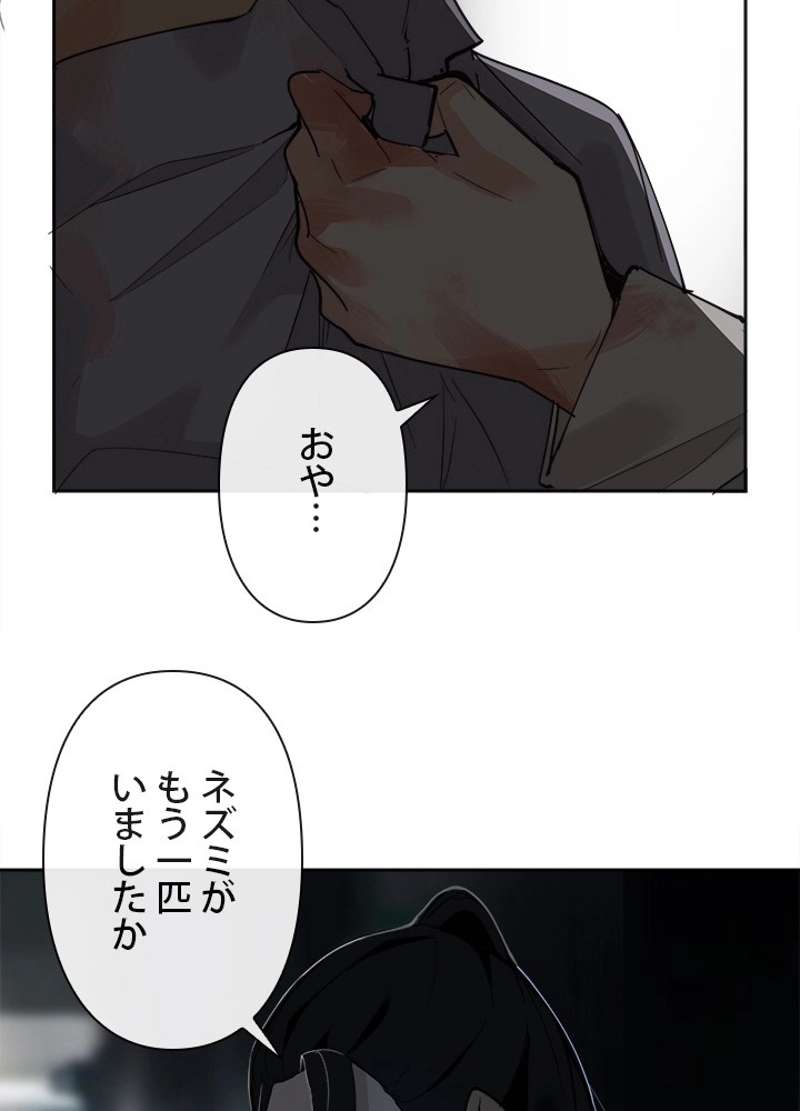 P63
