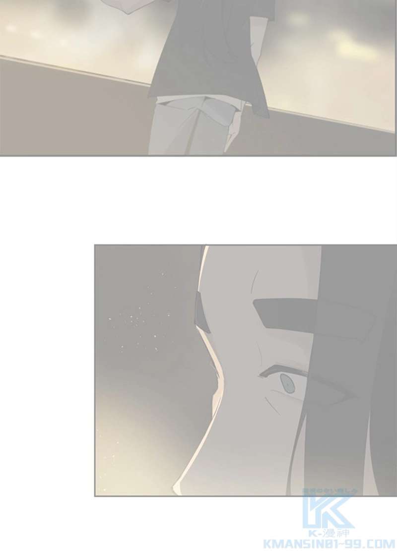 P53