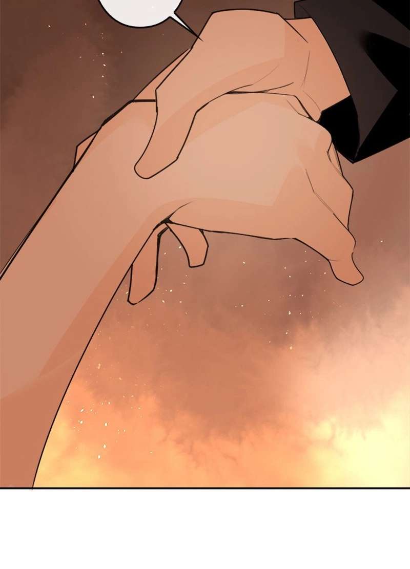 P46