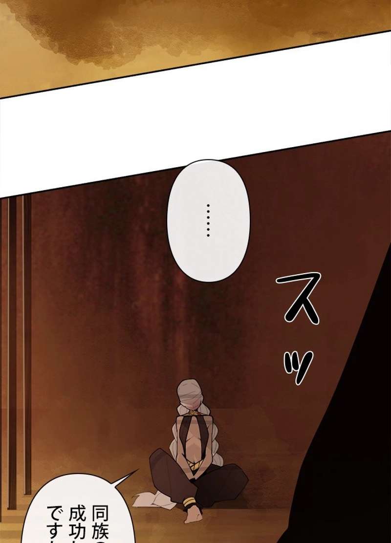 P66