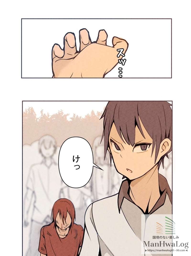 P66