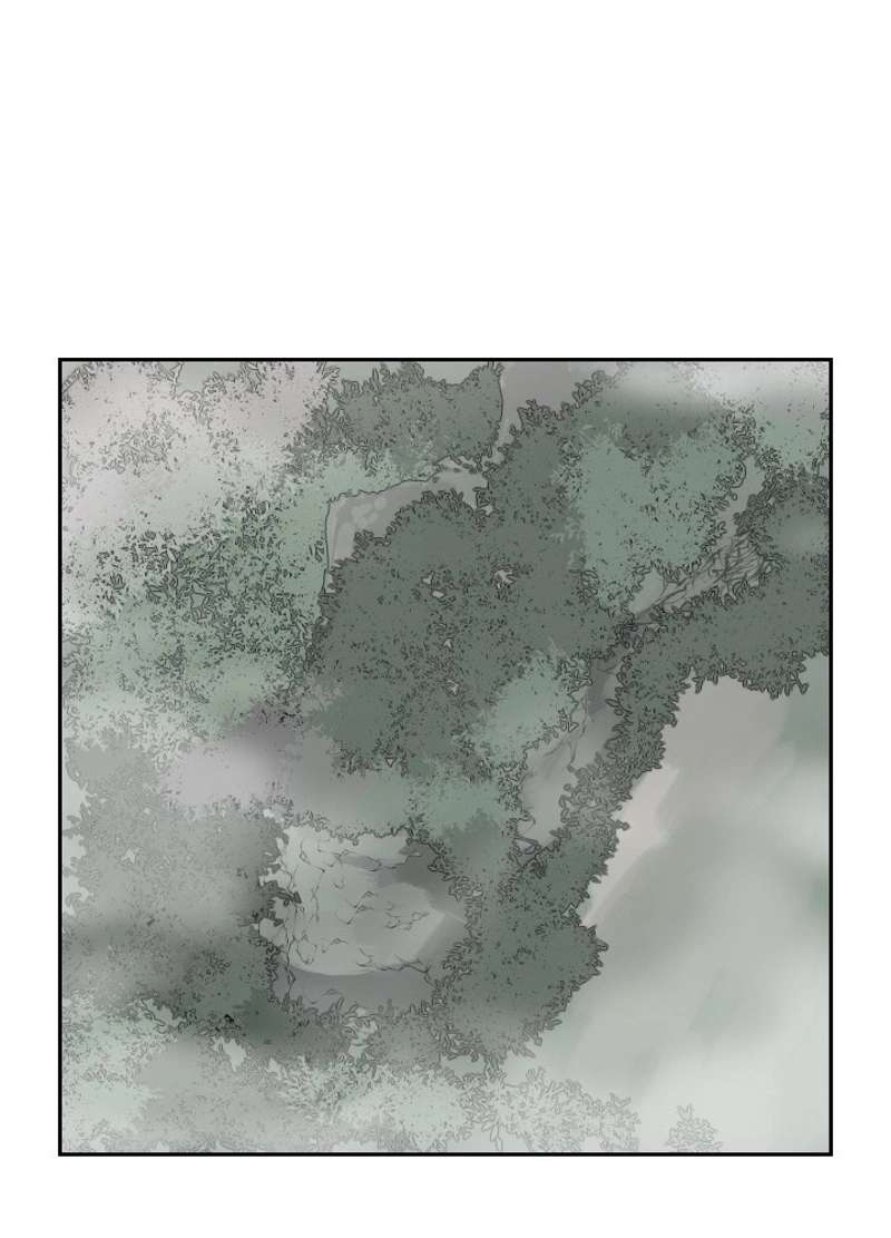 P64