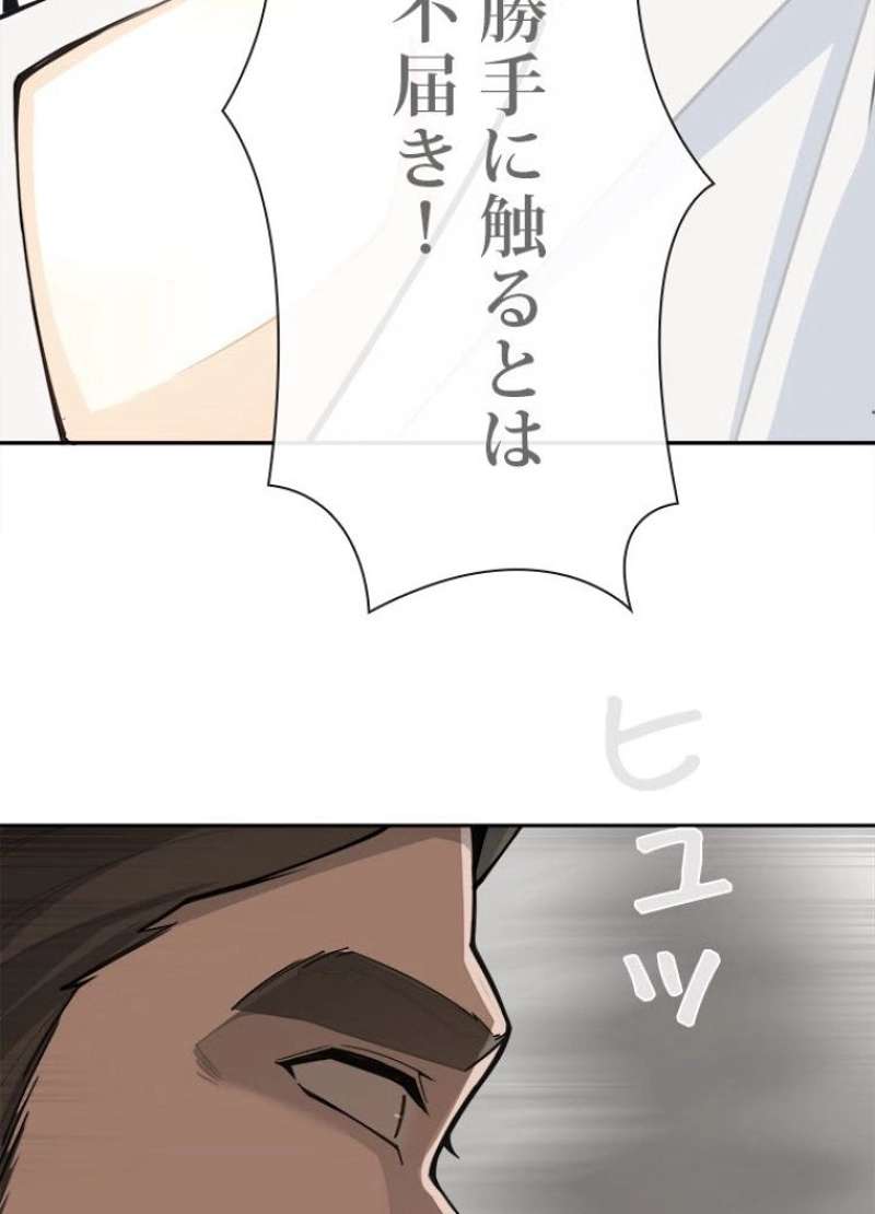P48