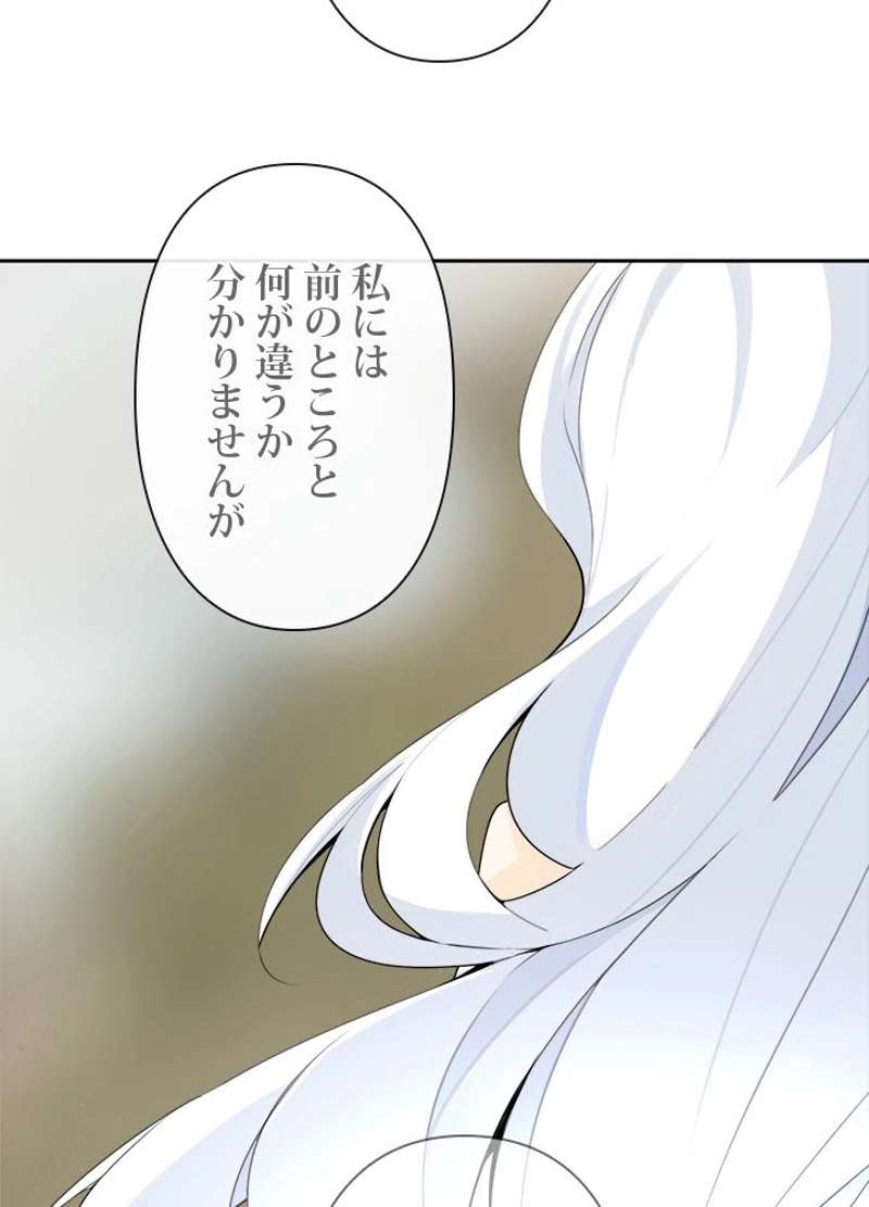 P63