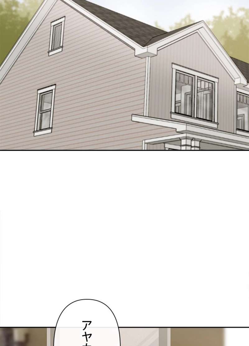 P63