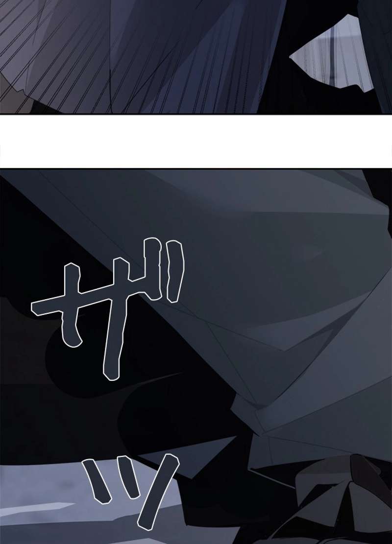 P61