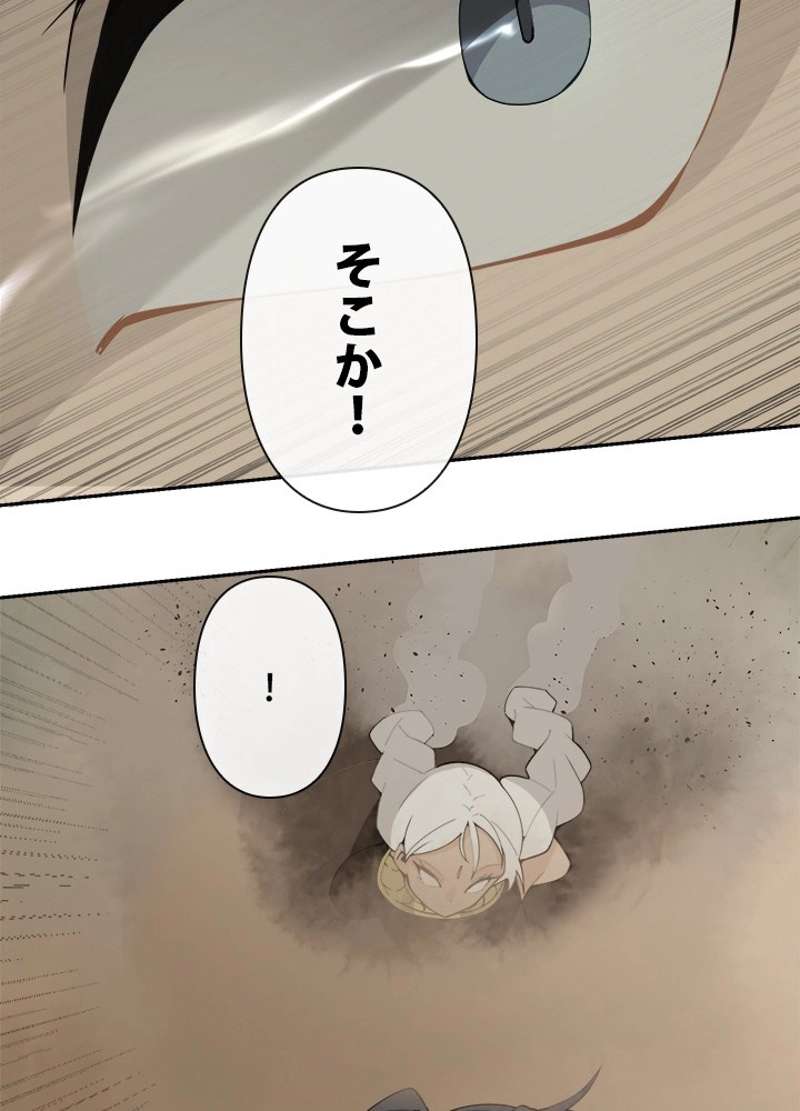 P61