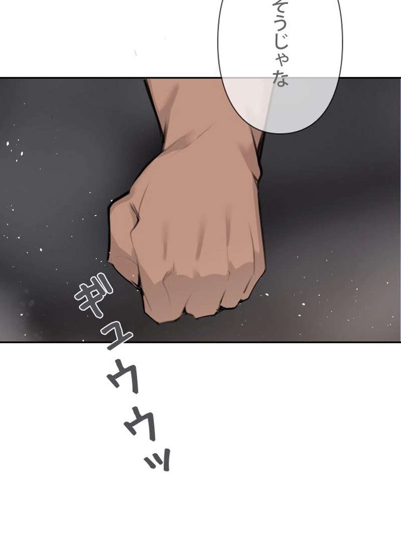 P58