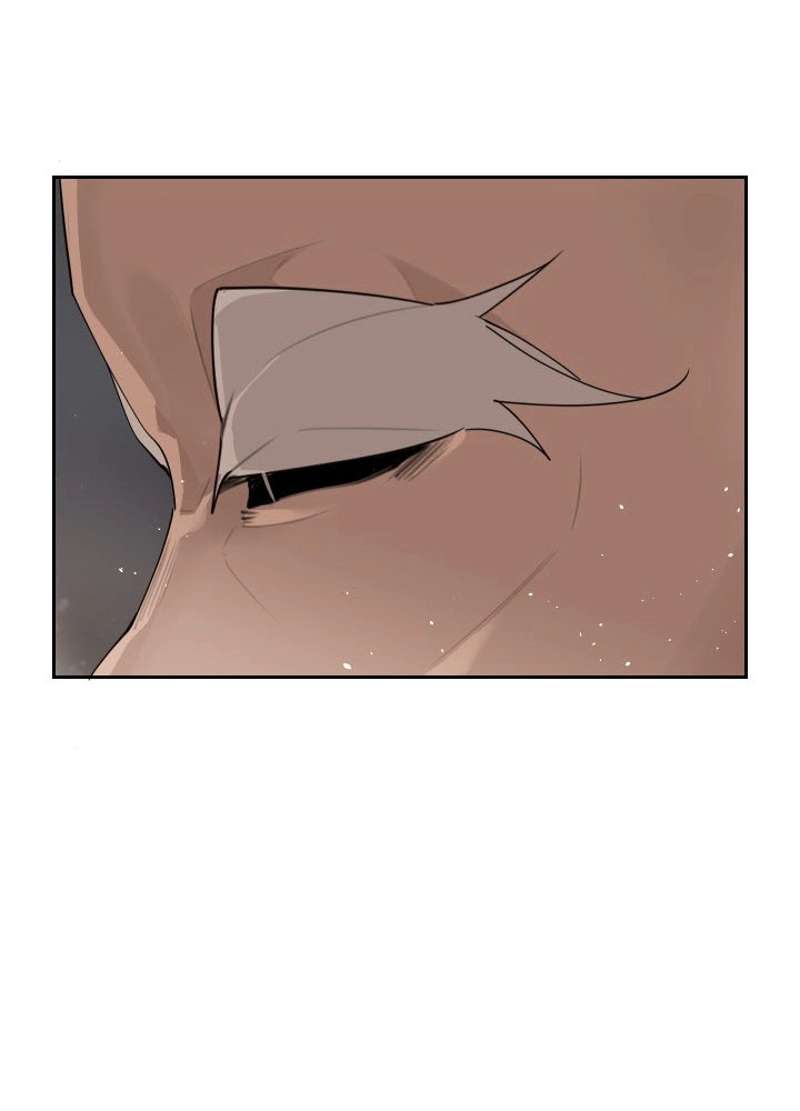 P61