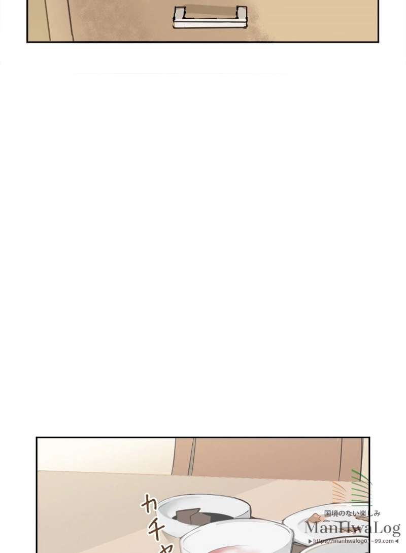 P40
