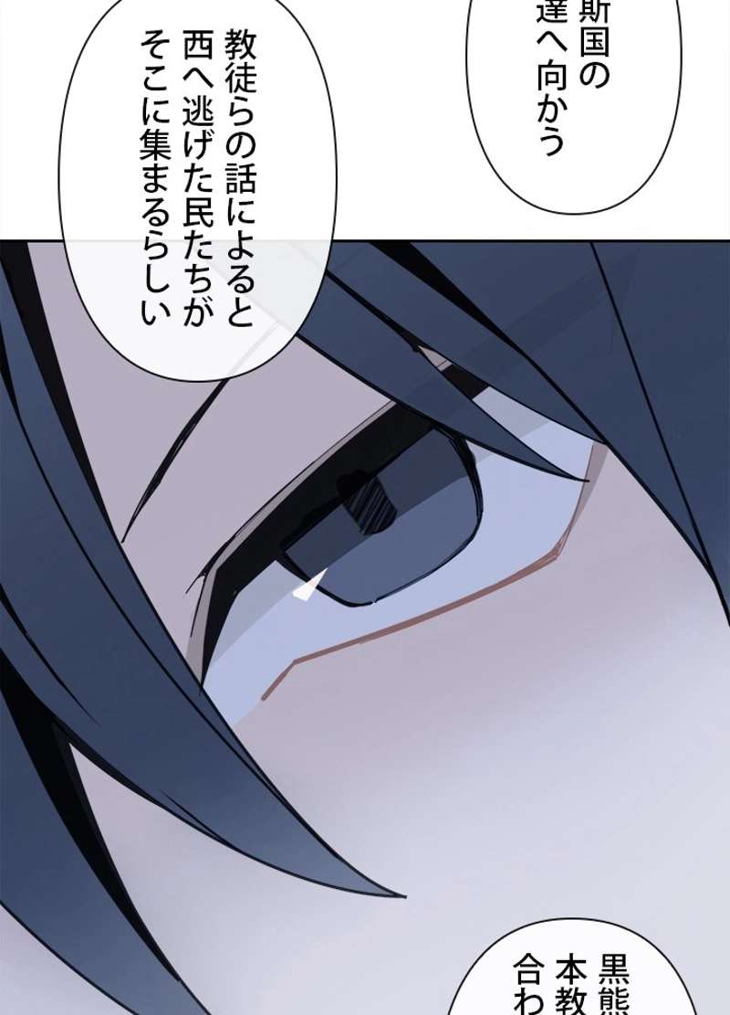 P66
