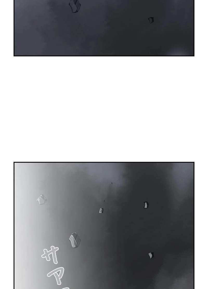P58