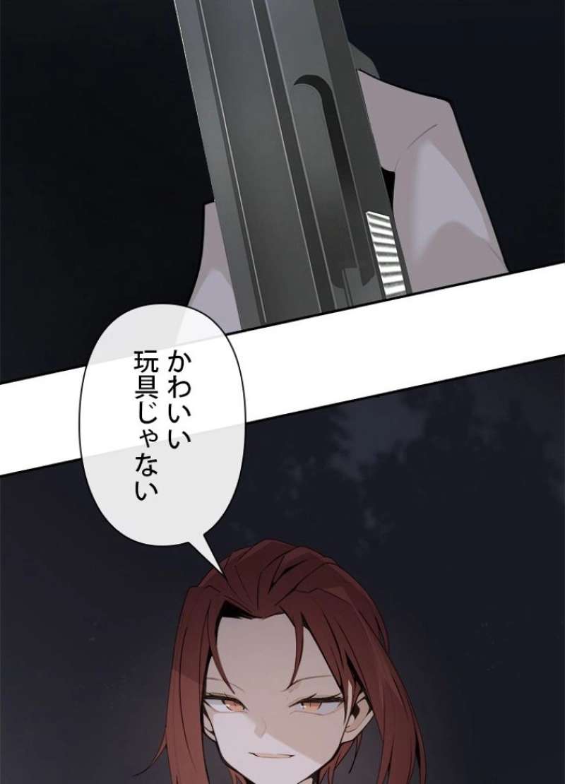 P58