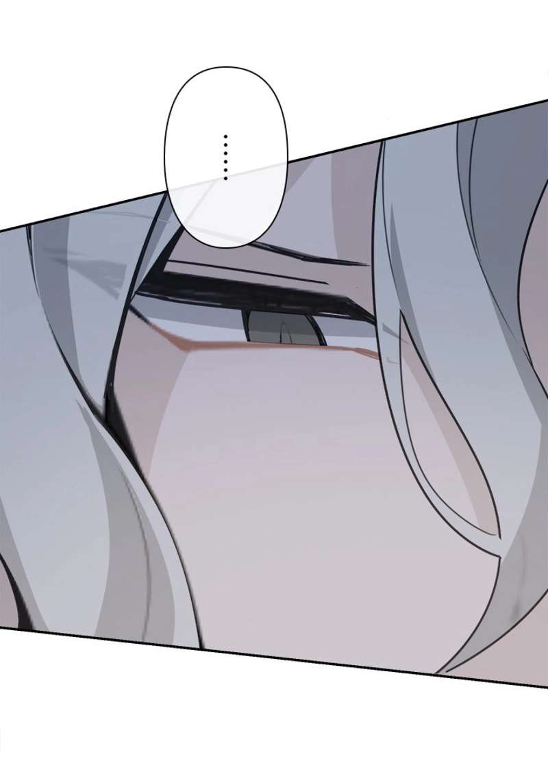 P61