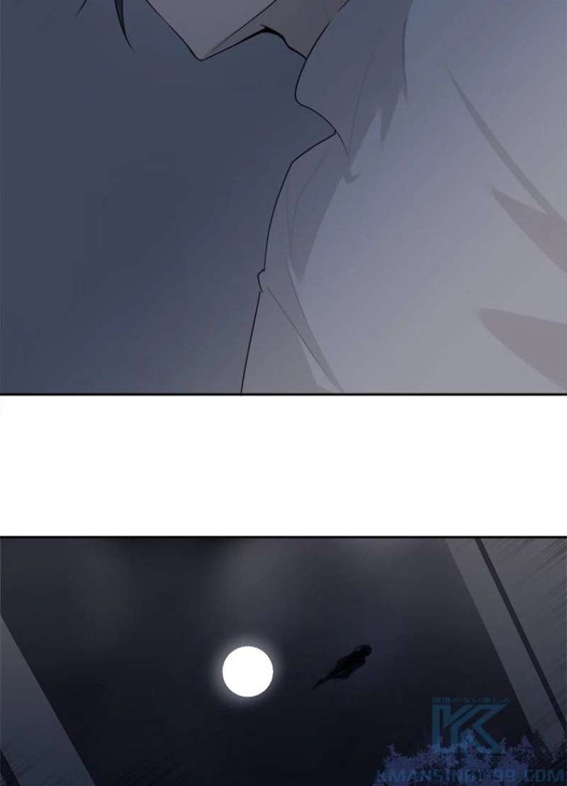 P53
