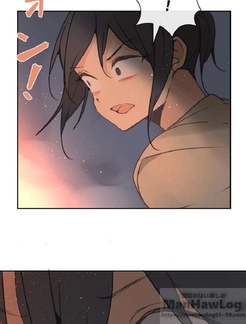 P53