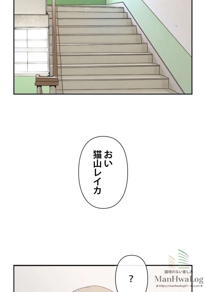 P46