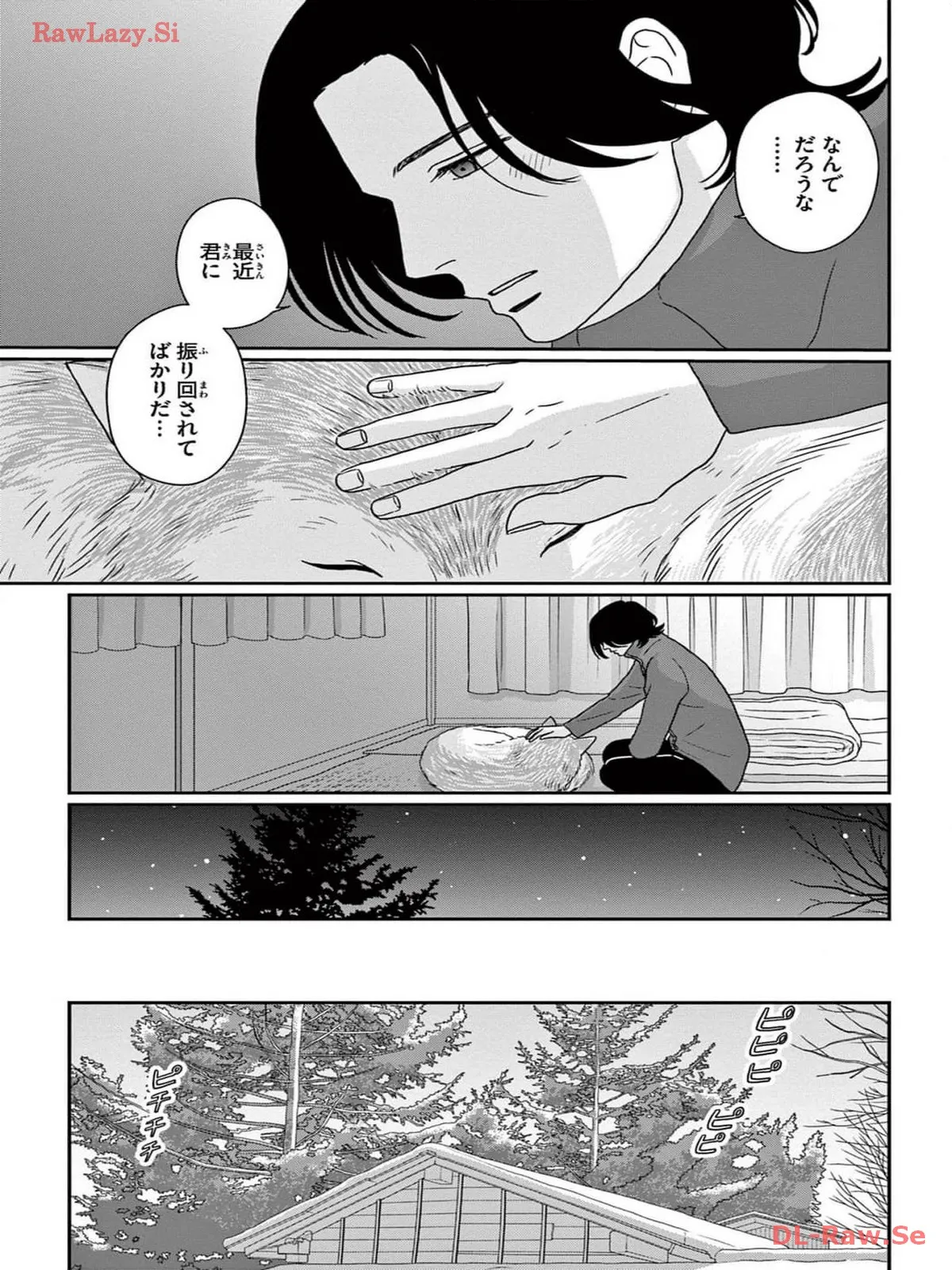 P29
