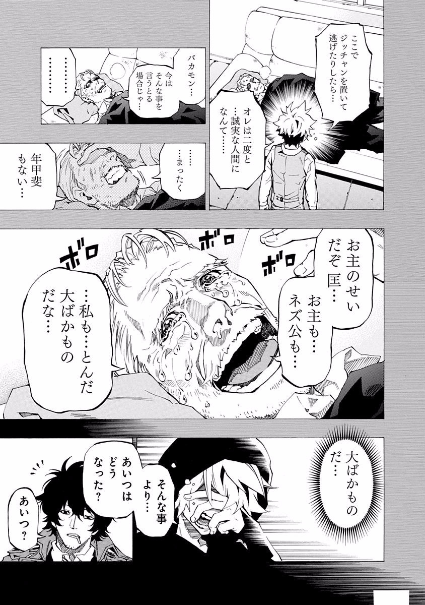 P41