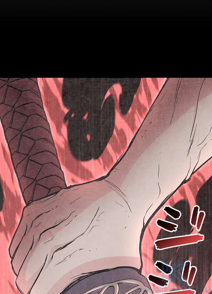 P61