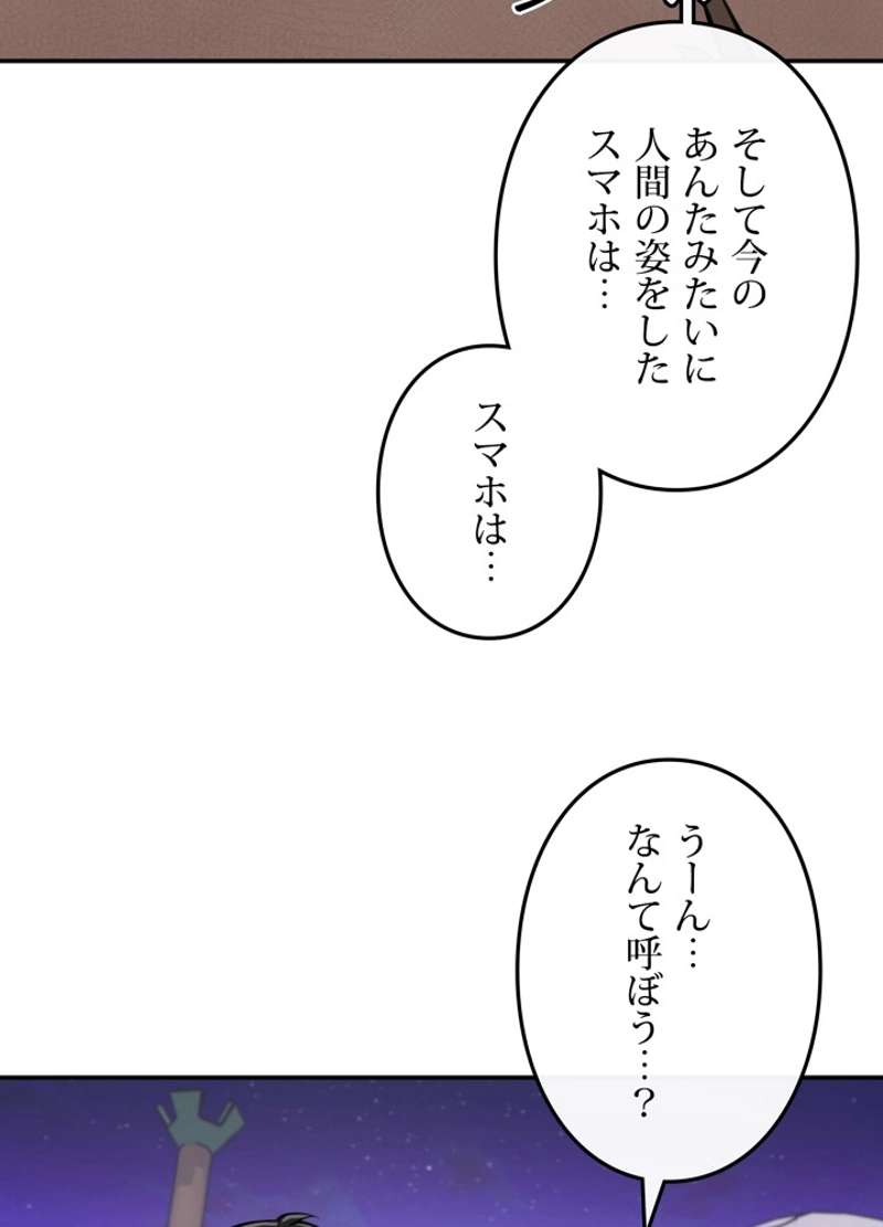P53