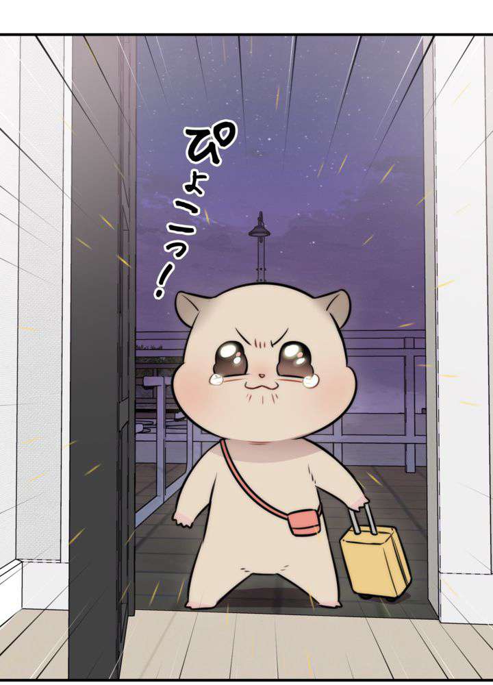 P63