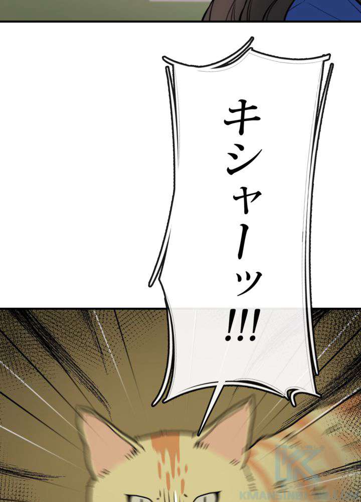 P37