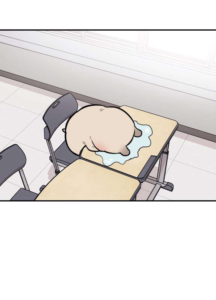 P48