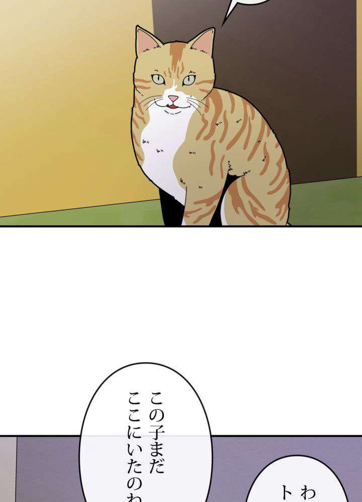 P53