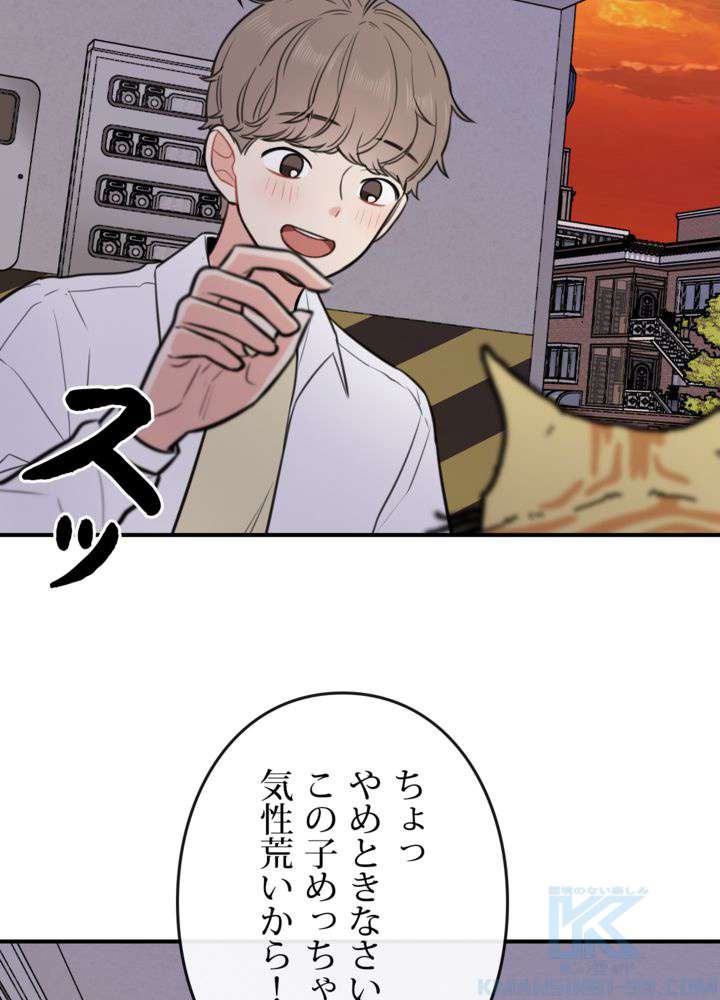 P55