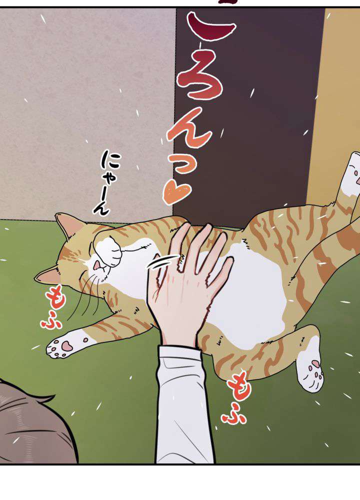 P57