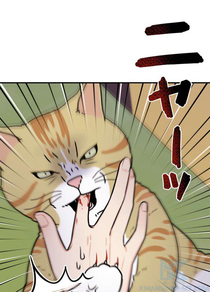 P61