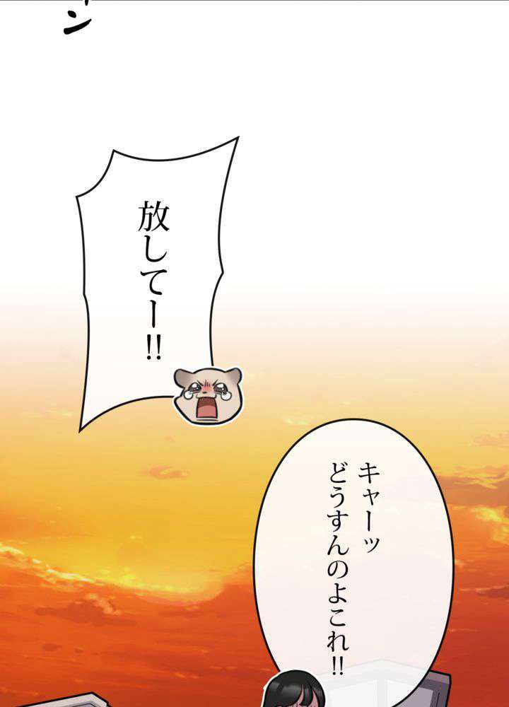 P66