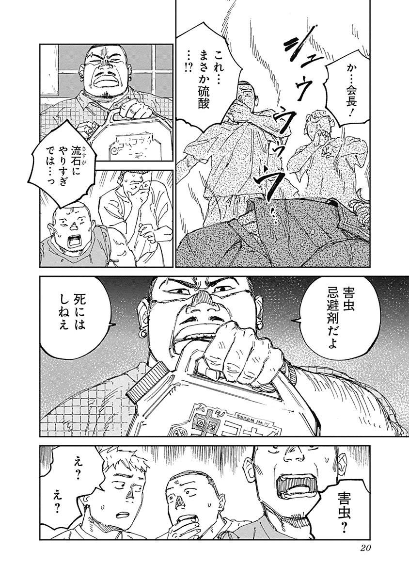 P20