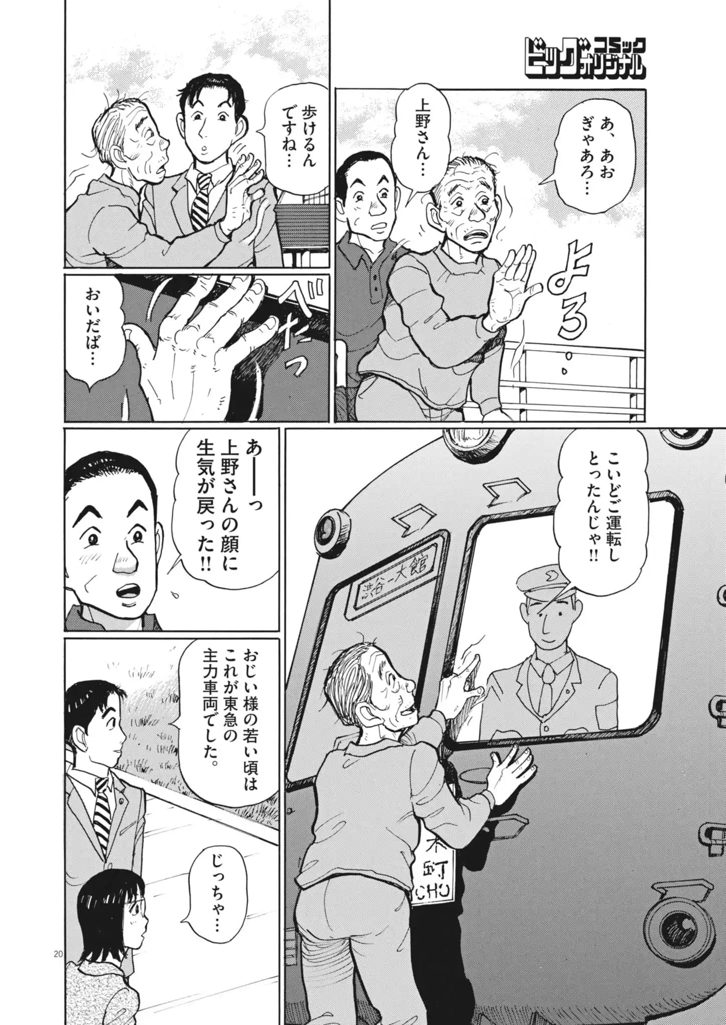 P20