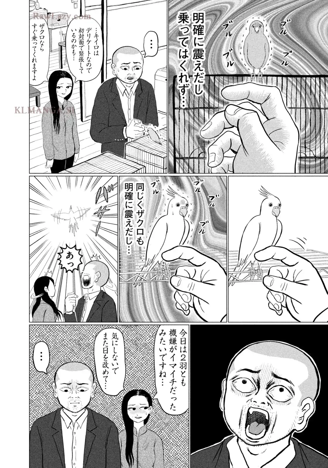 P14