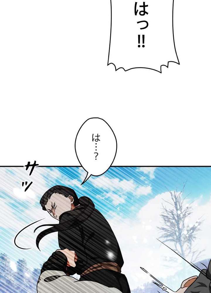 P113