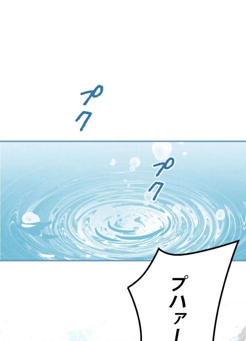 P66