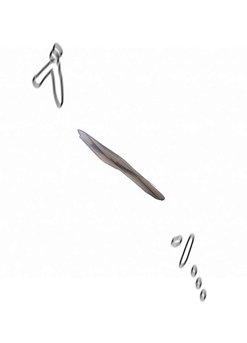P44