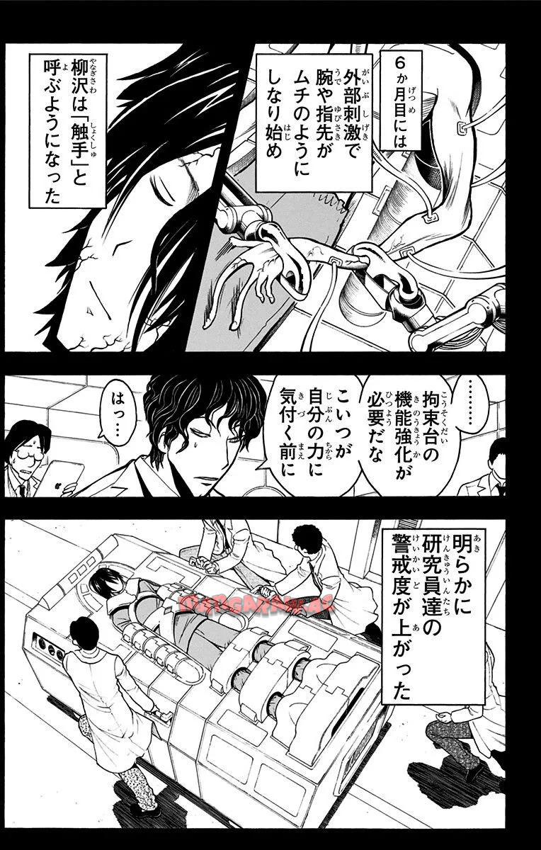 P62