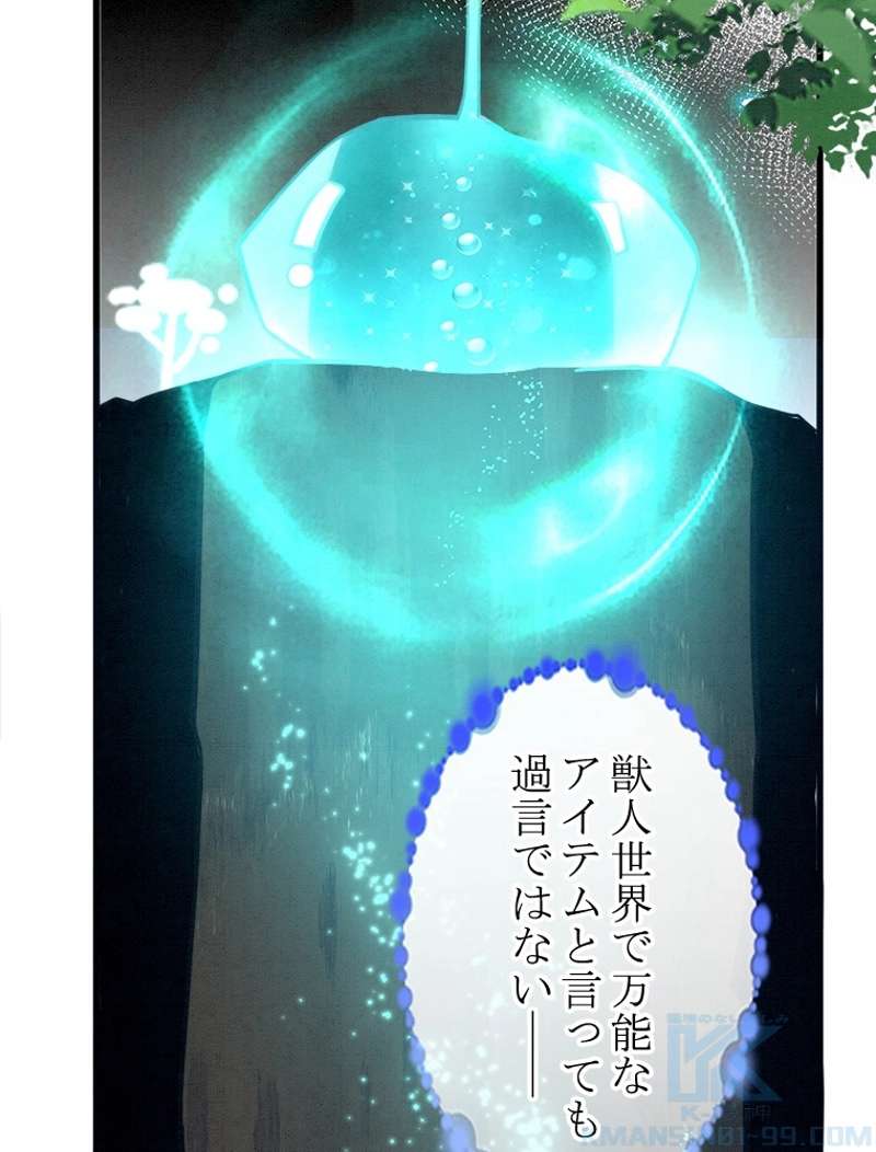 P61