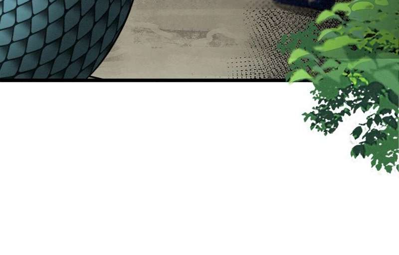 P66