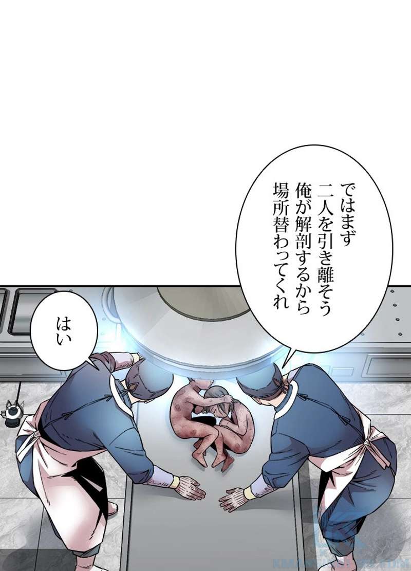 P61