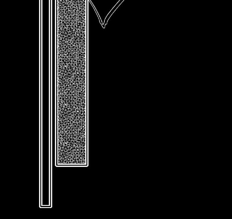 P53