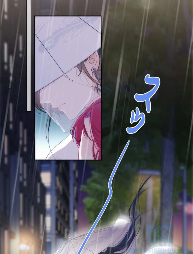 P53