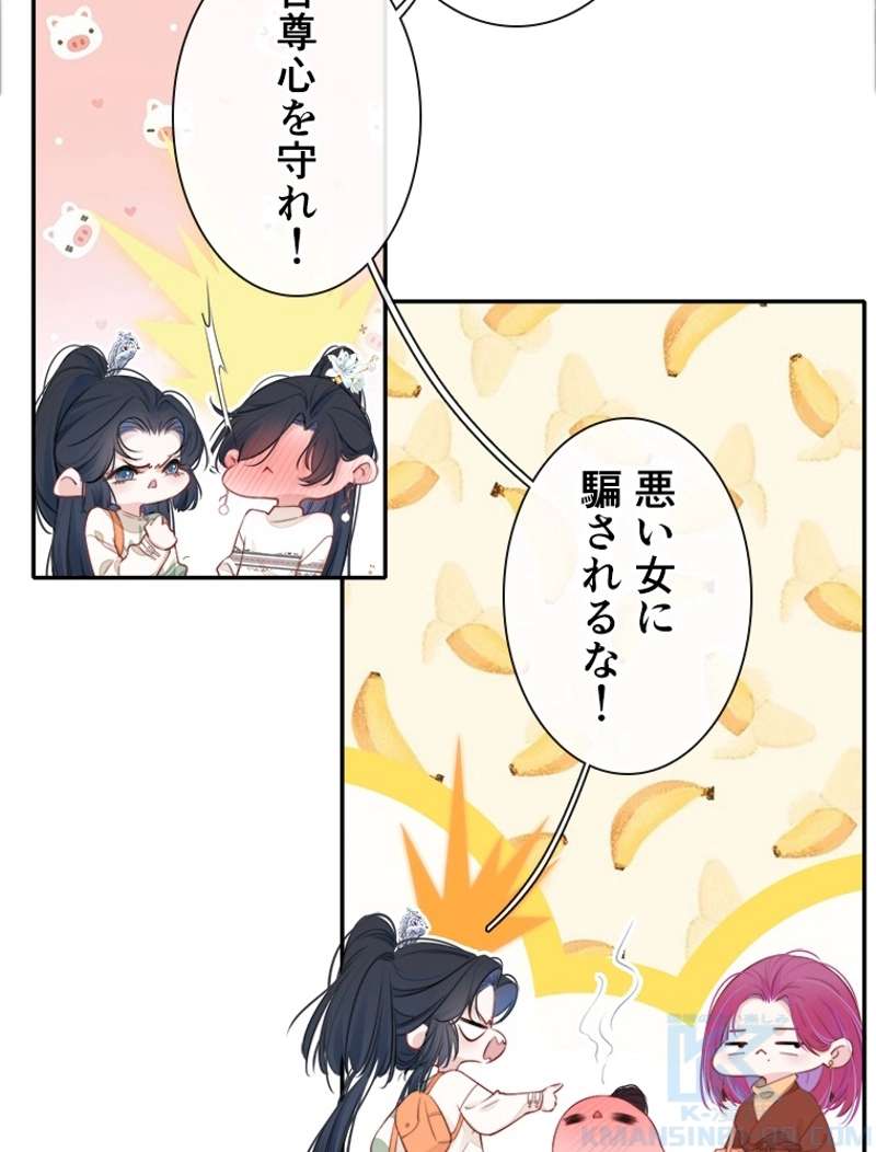 P41