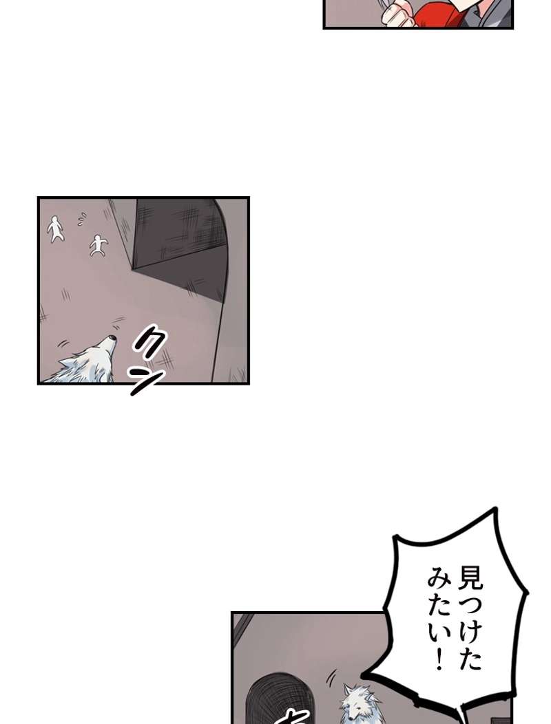 P24
